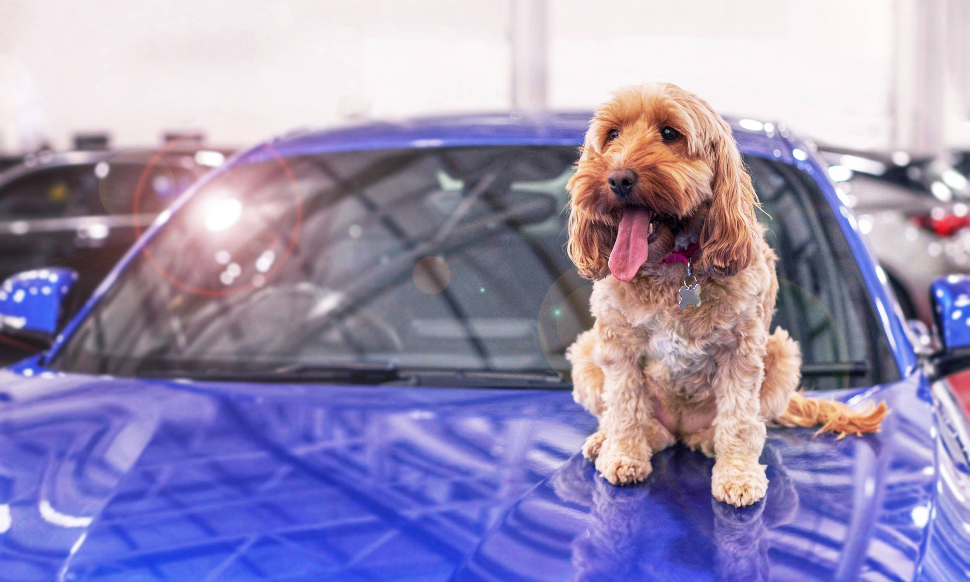 Used Cars For Sale At Availablecar Com Availablecar
